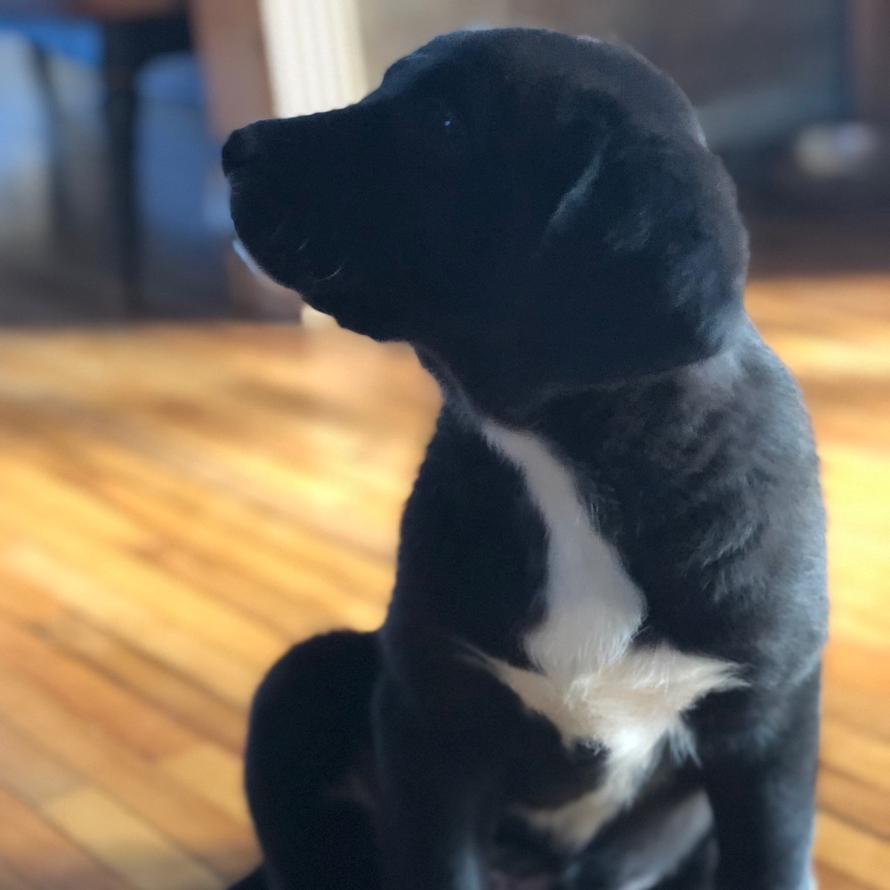 Meet your Posher, Kendra